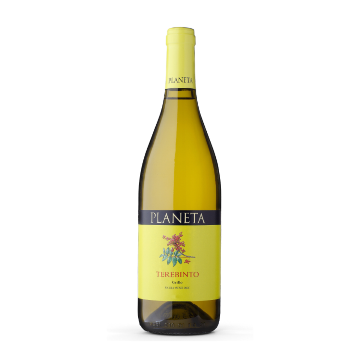 Planeta Terebinto Grillo