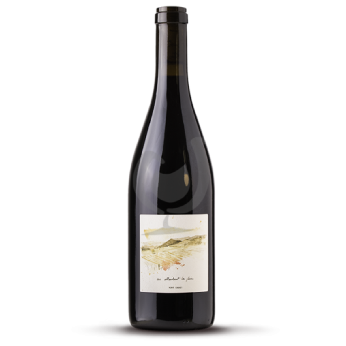 Henri Chauvet En Attendant La Pluie Pinot Noir