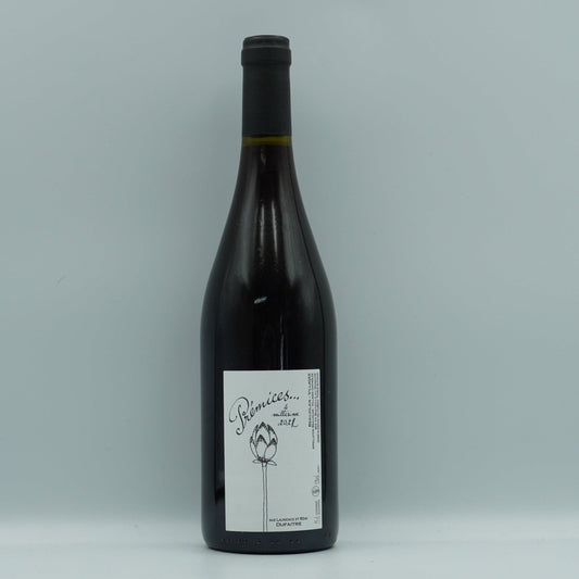 Laurence et Remi Dufaitre Beaujolais-Villages "Prémices" 2022